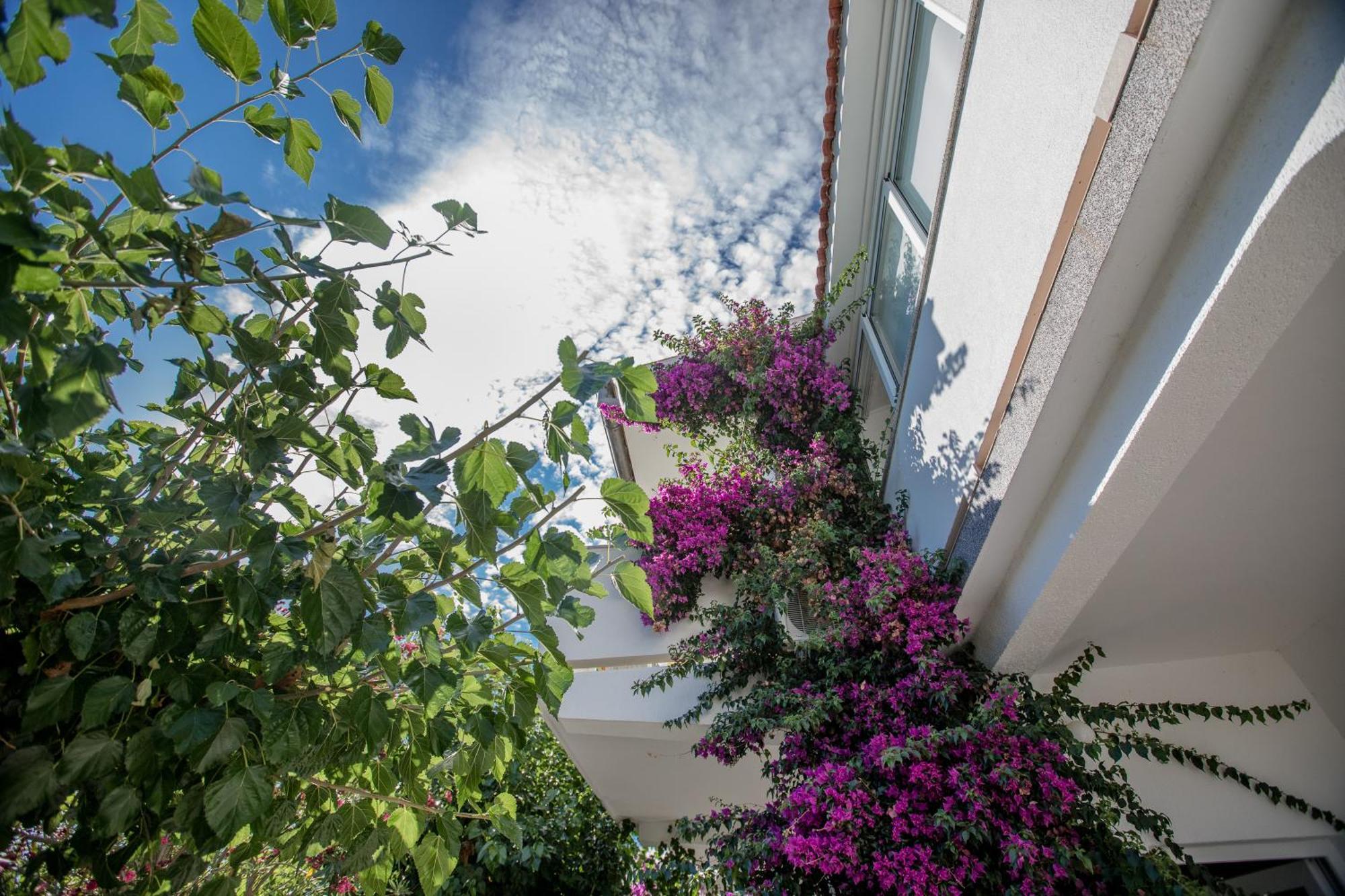 סופטרסקה דראגה Apartman Rosa מראה חיצוני תמונה